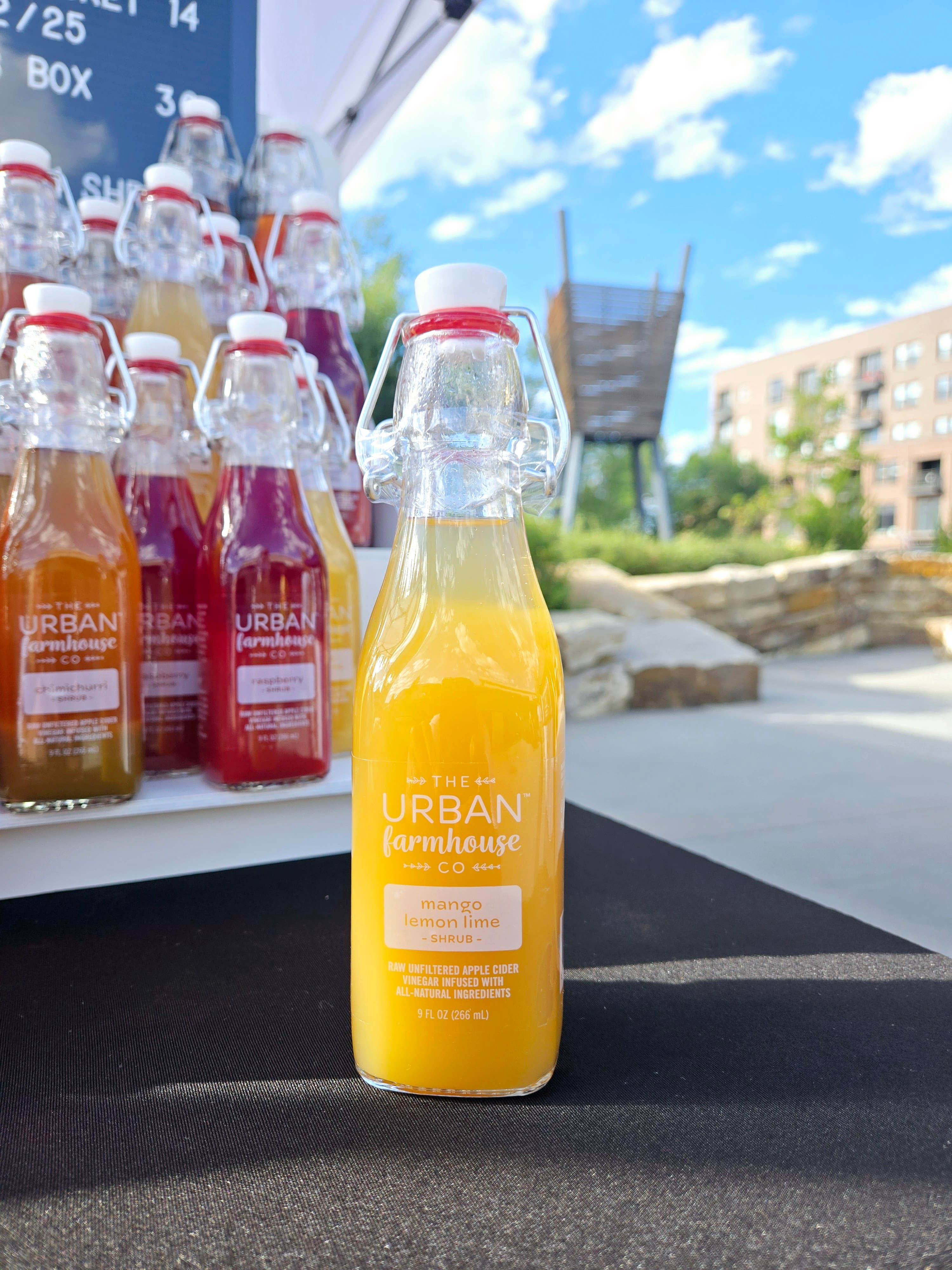 The Urban Farmhouse Co - Wholesale Drink Mix - Classic Collection Organic Living Vinegars 6 Varieties6