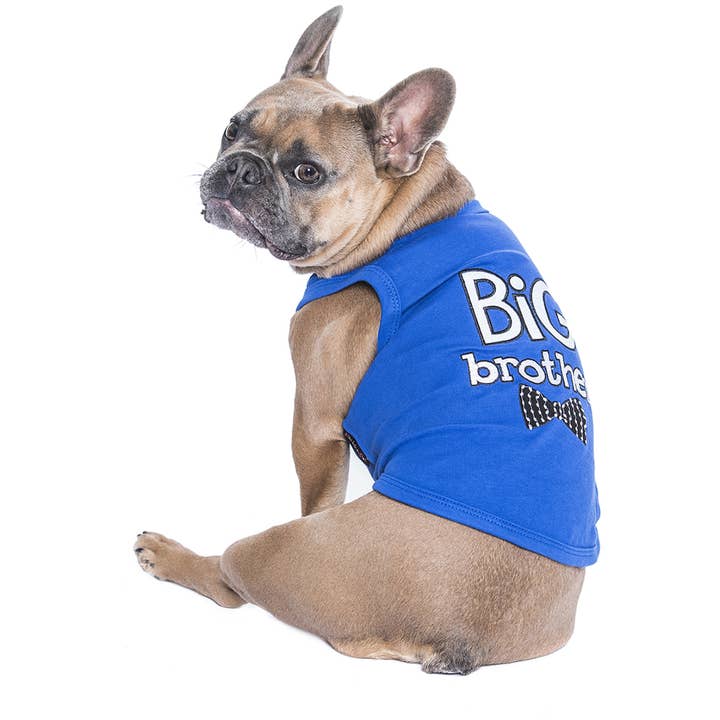 Parisian Pet® - Wholesale Pet Shirt - Dog - Big Brother Dog T-Shirt – Fun Stylish Outfit for Dogs