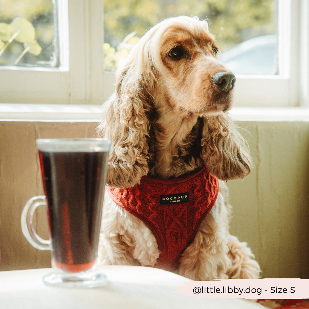 Cocopup London - Wholesale Pet Harness - Dog - Cable Knit Jumper Adjustable Neck HARNESS - Mulled Pup Wine3