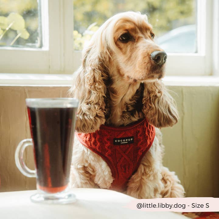 Cocopup London - Wholesale Pet harness – Dog - Cable Knit Jumper Adjustable Neck HARNESS - Mulled Pup Wine3