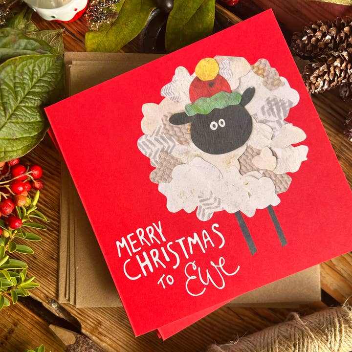 Pacchetto di biglietti di Natale, 5 x biglietti di Natale, Pecora per la vendita all'ingrosso da parte di Under the Willow Tree