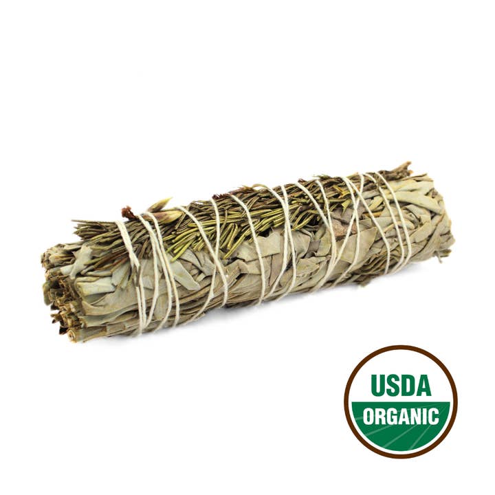 Serene Aura Salvia 15cm för wholesale av Green Tree