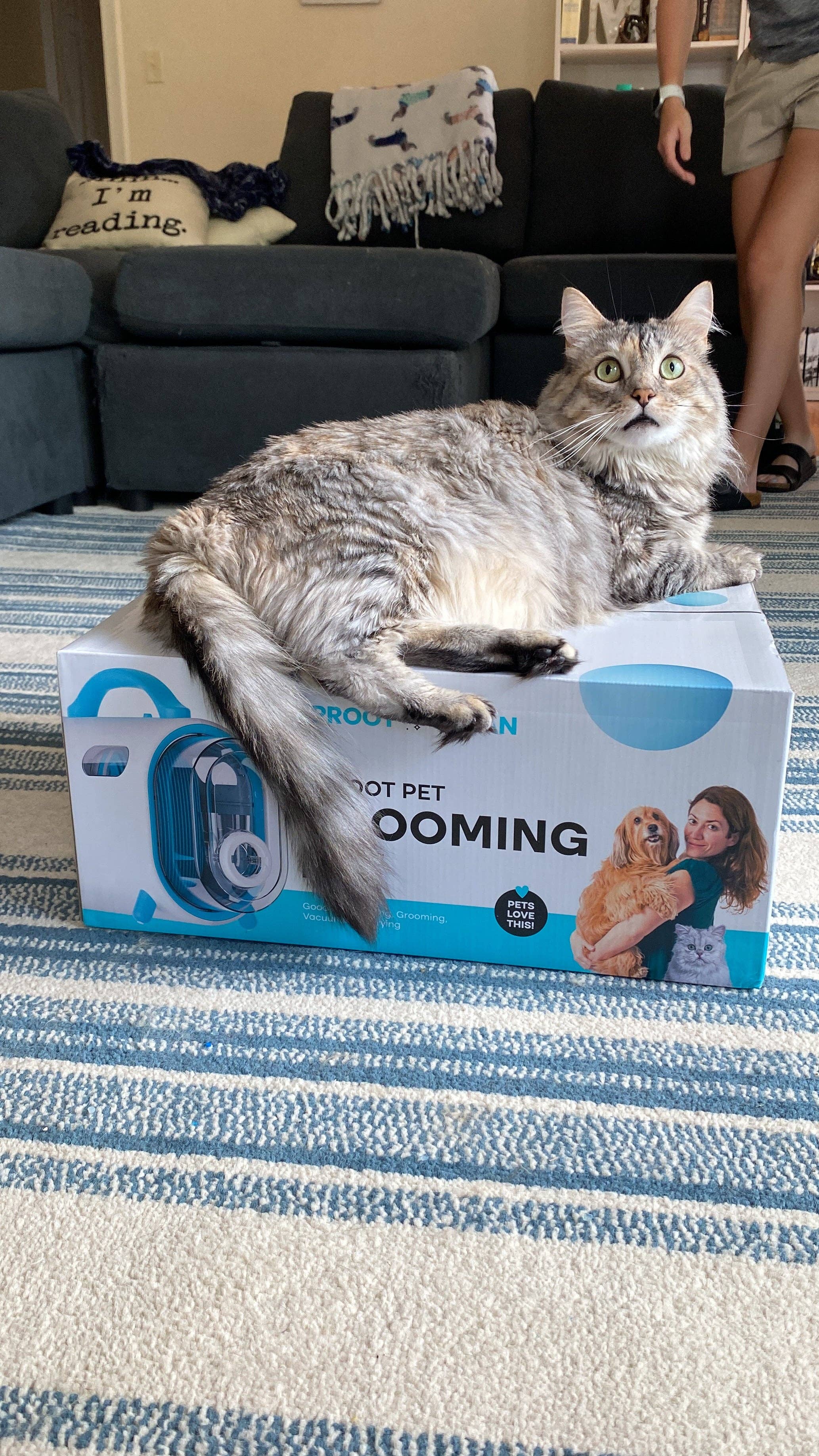 Uproot Clean - Wholesale Pet Grooming Set - Dog - Uproot Clean Cordless Pet Grooming Kit Retail  (2 Unit Case Pack)8