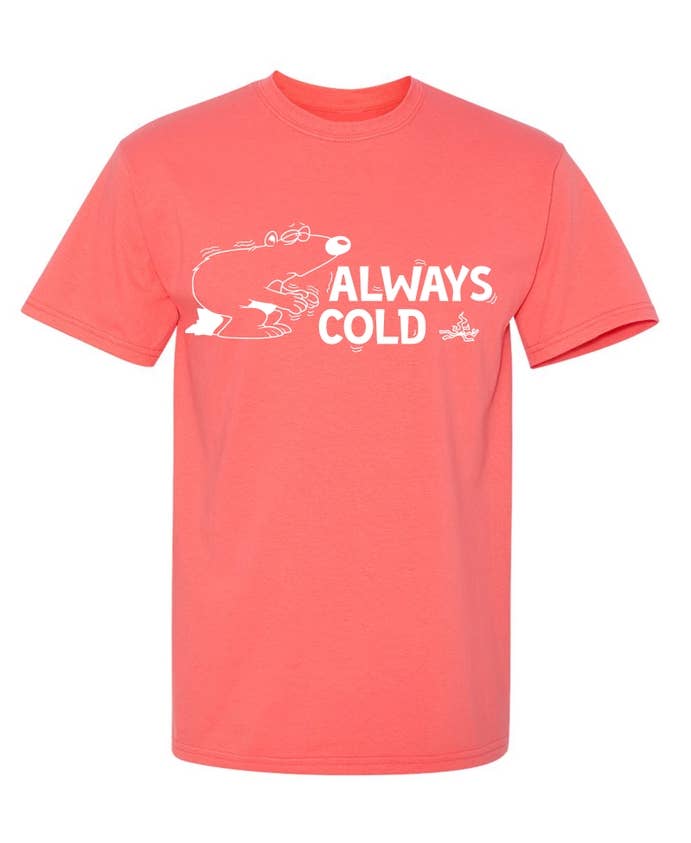 Feelin Good Tees - Wholesale Shirt - Men's - Always Cold9