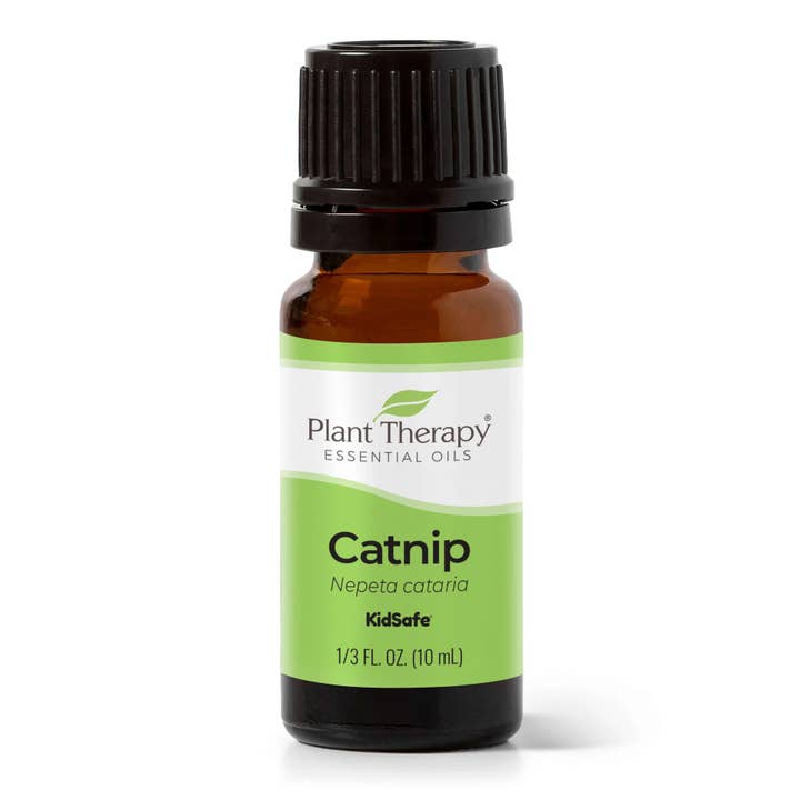 Plant Therapy – wholesale Eterisk olja – Kattmynta eterisk olja 10 mL