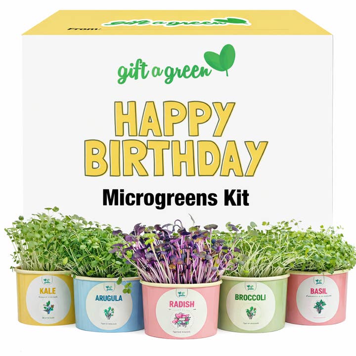 Gift Box - Happy Birthday for wholesale by giftagreen