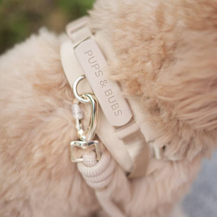 Pups & Bubs - Wholesale Pet leash – Dog - Rover Rope Leash | Matched To Rover Harness4