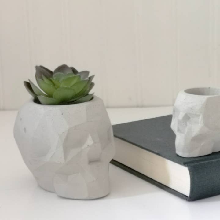Geometrisk Skull Beton Planter-Cement saftige Pot for engroshandel hos Weii Life Inc.