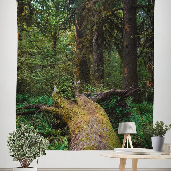 Fallna träd, Olympic Forest Wall Gobeläng för wholesale av lostkatphoto