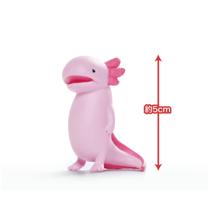 Hakubundo - Wholesale Decorative Figurine - 【JAPANESE BLIND BOX】FEEL NOTHING AXOLOTL BLIND BOX1