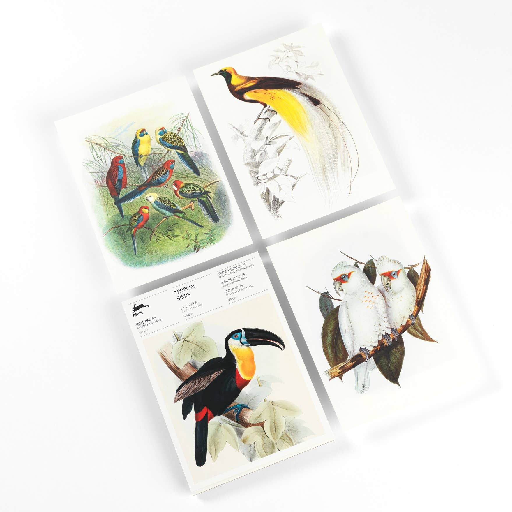 Pepin Press - Wholesale Notepad - Tropical Birds A5 Note Pad & Writing paper3
