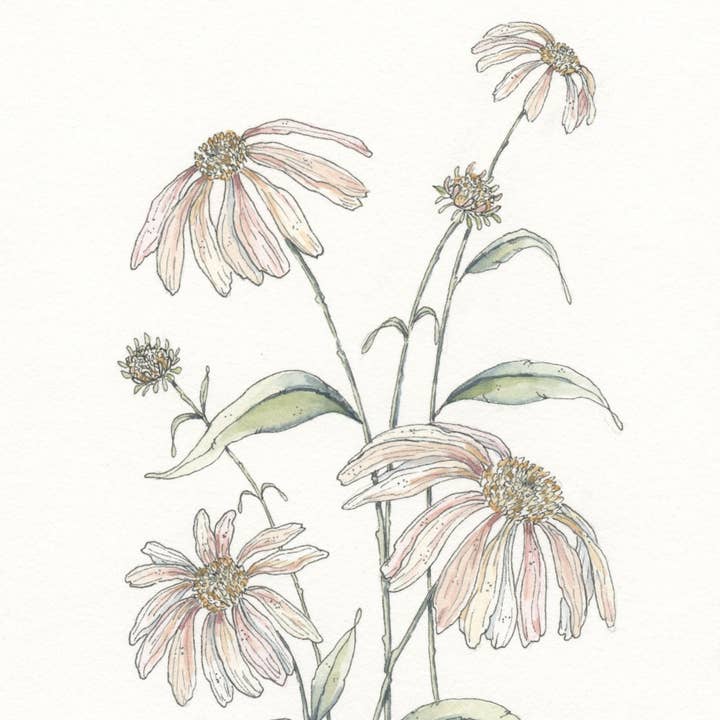 Lil & E - Wholesale Stationery/Notecard Set - Birds and Blooms Card Set of 52