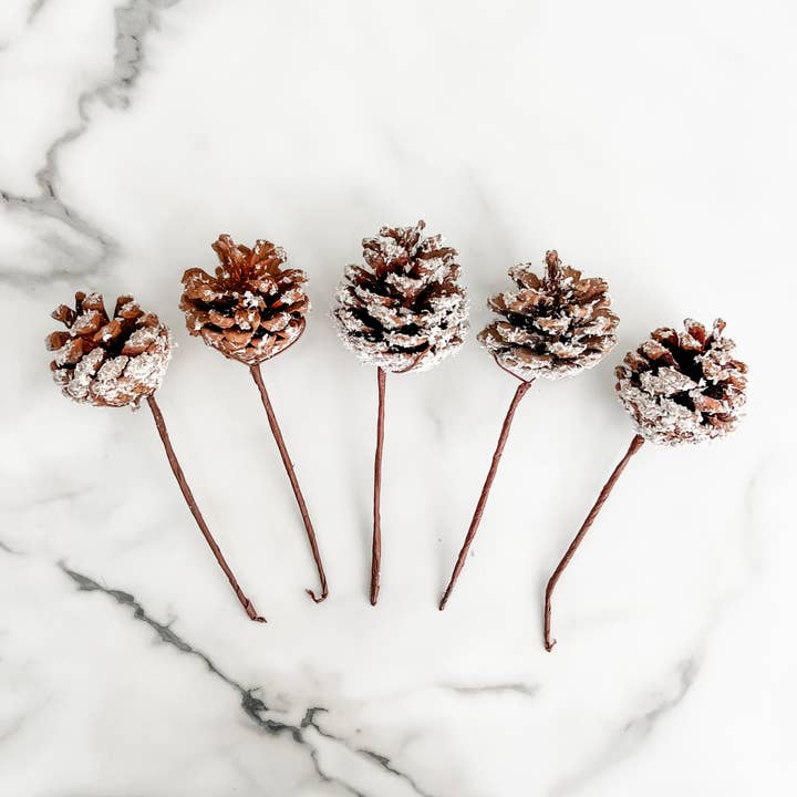 Trim & Twine - Wholesale Christmas Decoration - Small Snowy Pinecone Pick - Set of 5