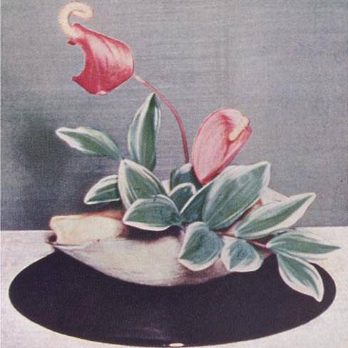 Art Print FC-291 Anthurium Ikebana for wholesale by Found Image Press