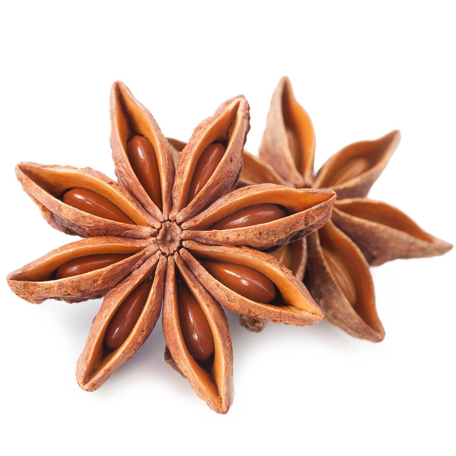 Ceres Gourmet - Wholesale Dried Spice - Whole Star Anise Pods - 2.1 oz, Perfect for Baking Spices, Cooking, Anise Tea and More2