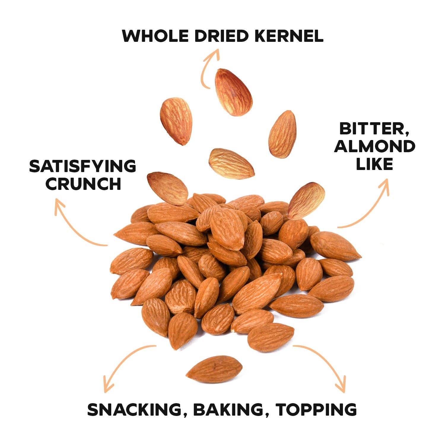 DRYBOX - Wholesale Dried/Dehydrated Fruit - Drybox Organic Bitter Apricot Kernels 1LB X3 PACKS BULK SIZE4