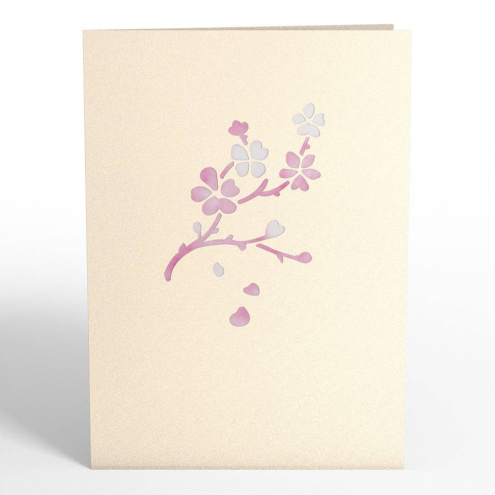 Lovepop Cards - Wholesale Everyday Greeting Card - Cherry Blossom Card, 5x7" Pop-Up Cards3