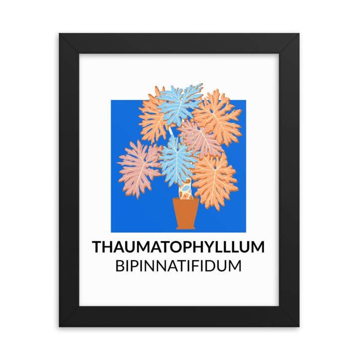 Thaumatophyllum bipinnatifidum – Framed Print for wholesale by Inspired Botanical Design