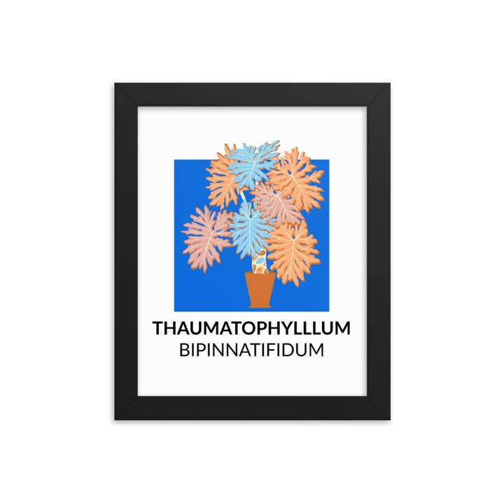 Thaumatophyllum bipinnatifidum – Framed Print for wholesale by Inspired Botanical Design