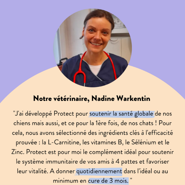 Hello Jack - Wholesale Pet Supplement - Dog - PROTECT - Powder supplement for animal immunity7