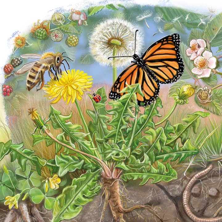 Schiffer Publishing - Wholesale Baby & Toddler Book (0-2) - The Tiniest Giant7