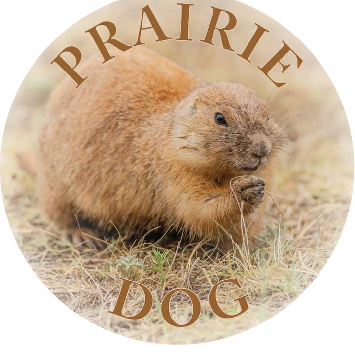 PRAIRIE DOG - IMÁN FLEXIBLE para venta al por mayor de Phil Stagg Photography