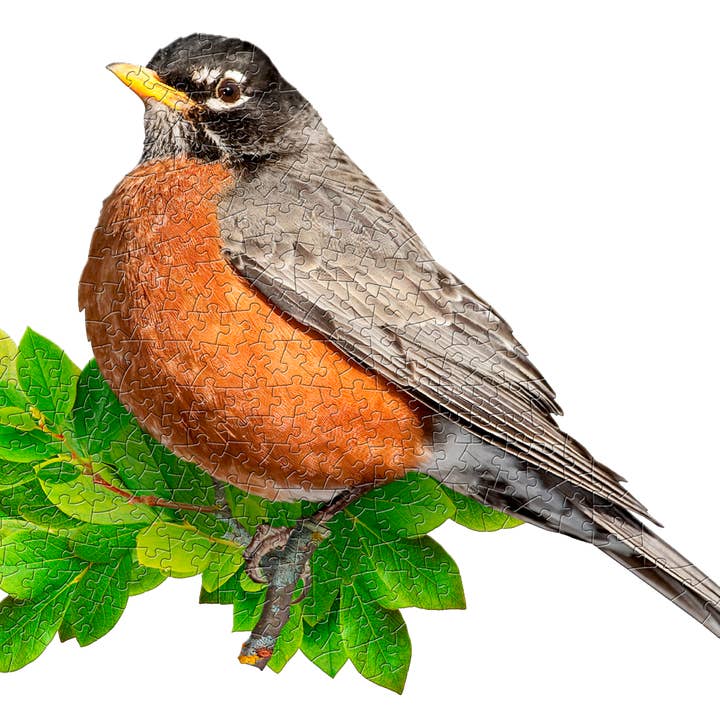 PUZZLE DISPLAY - Robin 300pc for wholesale by Madd Capp Games & Puzzles