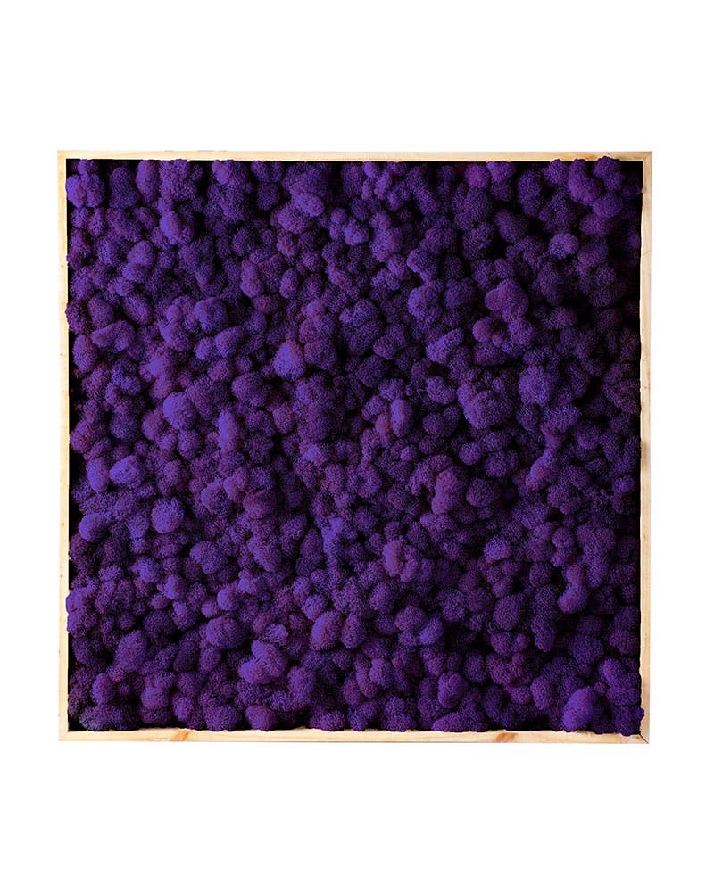 SuperMoss - Wholesale Wall Accent - Vertical Gardens - Reindeer Moss Walls12