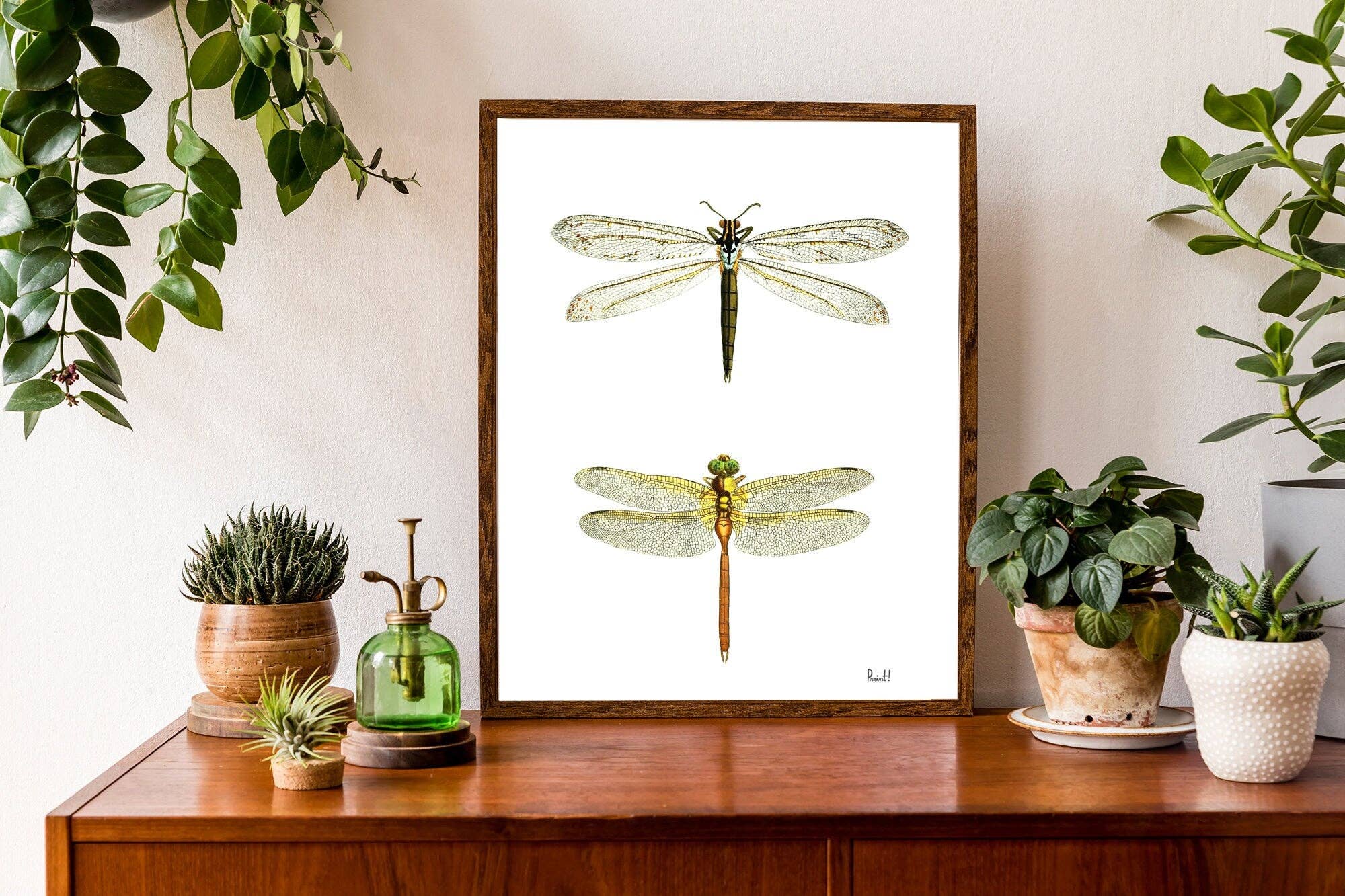 PRRINT! - Wholesale Art Print - Dragonflies wall art1