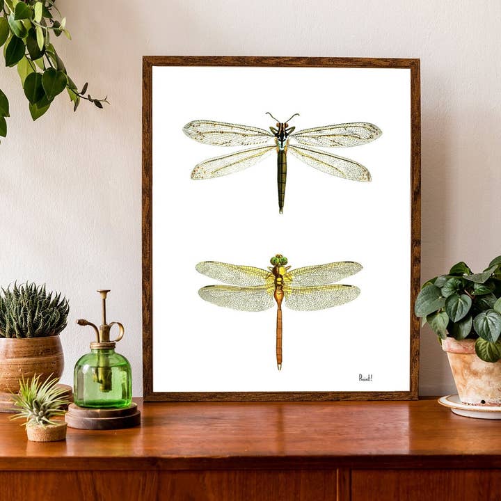 PRRINT! - Wholesale Art Print - Dragonflies wall art1