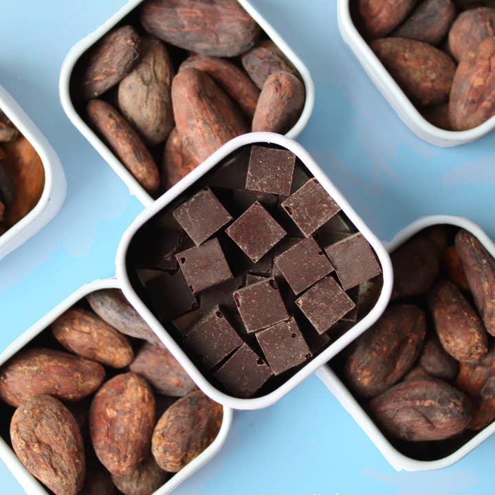 Seligo - Wholesale Chocolate Bar - 70% Unrefined Dark Chocolate Cubes Cinnamon