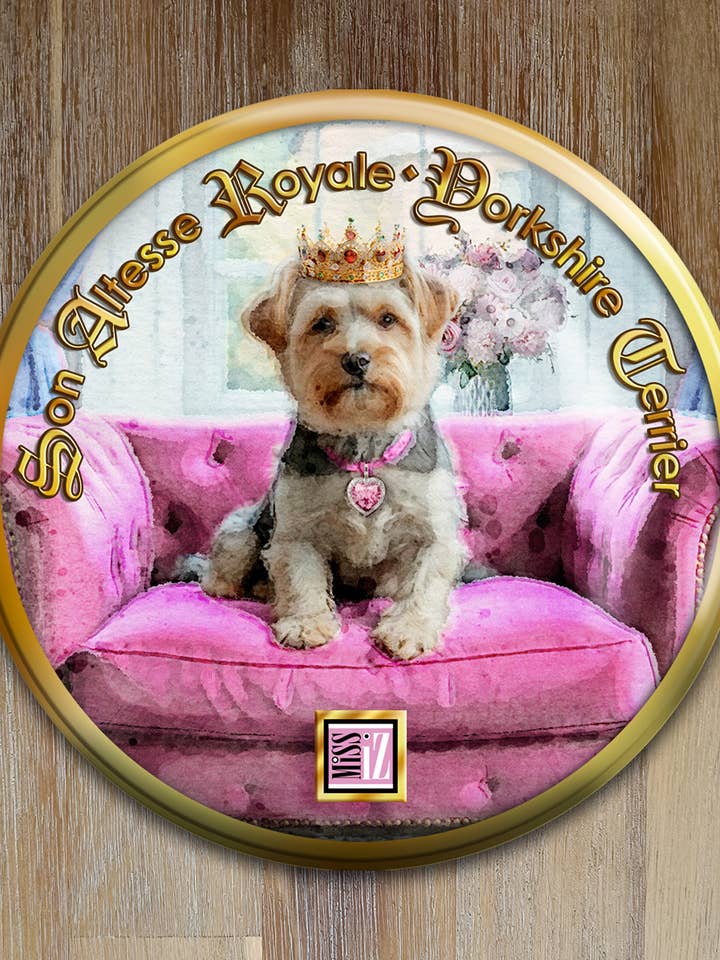 Espelho de bolso > Cão: YORKSHIRE TERRIER por atacado de Miss Iz