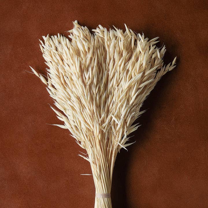 Blue Ocean Traders - Wholesale Dried/Pressed Flowers - Mixed Dried Grasses and Florals Bleached, 20"