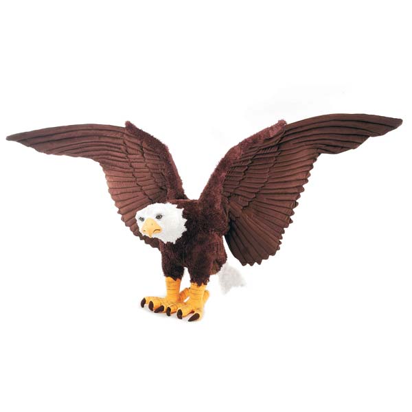48IN EAGLE WITH PICTURE HT for wholesale by Fiesta Toys