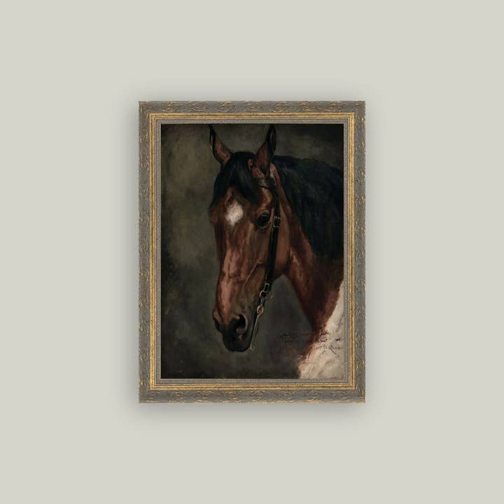 Petal Lane Home - Wholesale Art Print - Horse Portrait Framed Antique Art