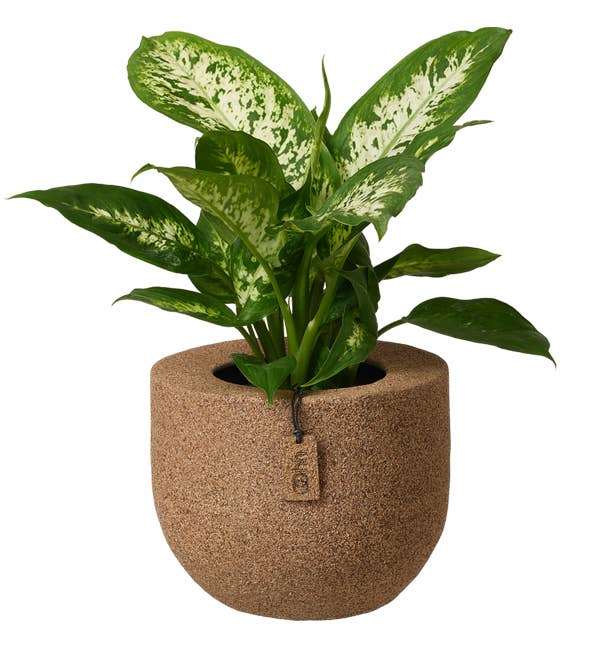 Lübech Living - Wholesale Kitchen Storage/Organizer - Wood'z pique fleur vase, Light Wood1