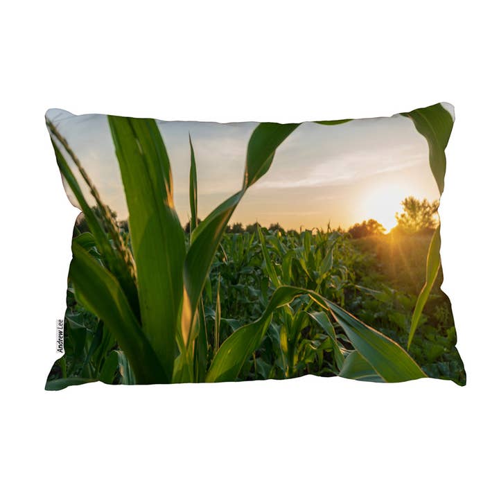 Corn And Sun Close Up (Outdoor Cushion) for wholesale by Benjamin Tate Design