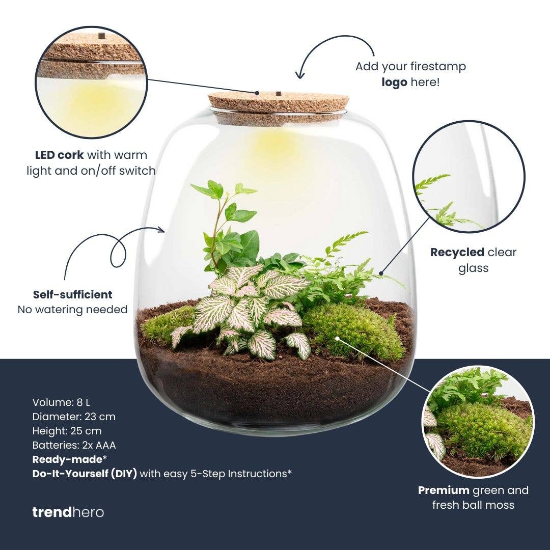 Trendhero.nl/b2b – Engroshandel Terrarium – Terrarium Emma - Ø 23 cm ↑ 25 cm - Firmagave5