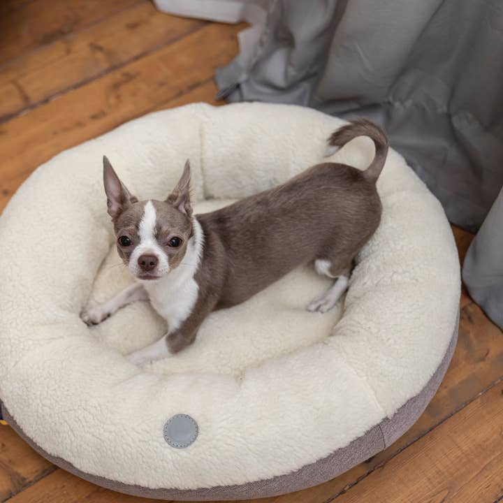 Beige Letto per cani a ciambella beige peloso in vendita all'ingrosso su Faire6