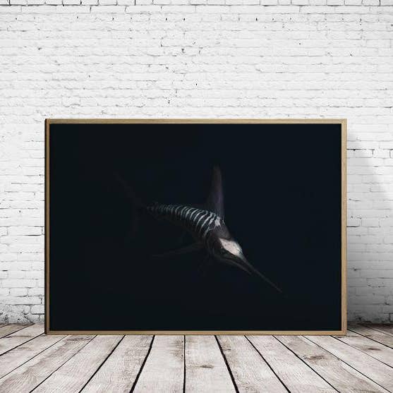Striped Marlin BLACK edition - A2/A1 Print (landscape) for wholesale by Hidden Planet