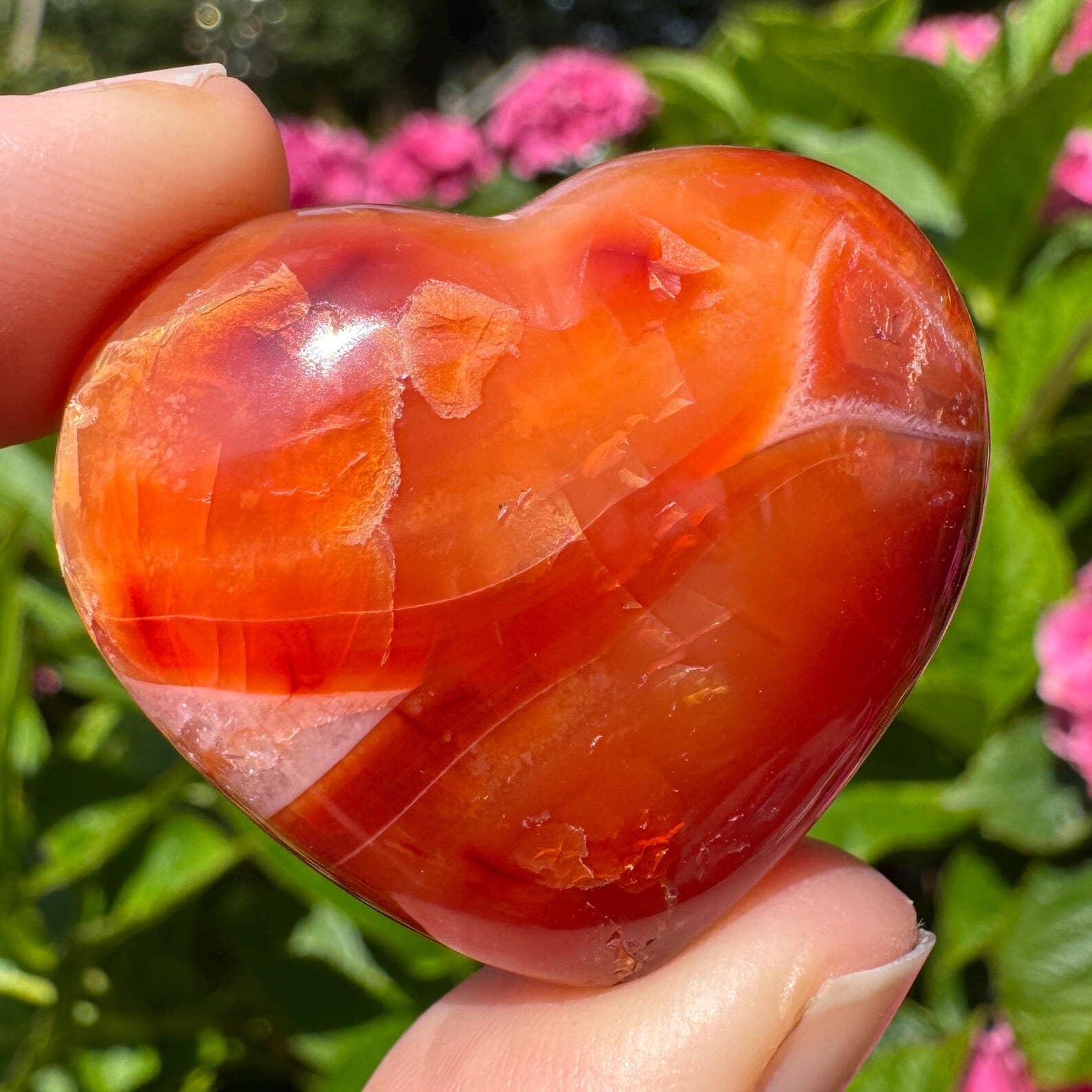 Elf Kendal Hippies - Venta al por mayor Piedras/cristales espirituales - Corazón de cornalina 25-45mm dos tamaños corazón de piedra preciosa cornalina1