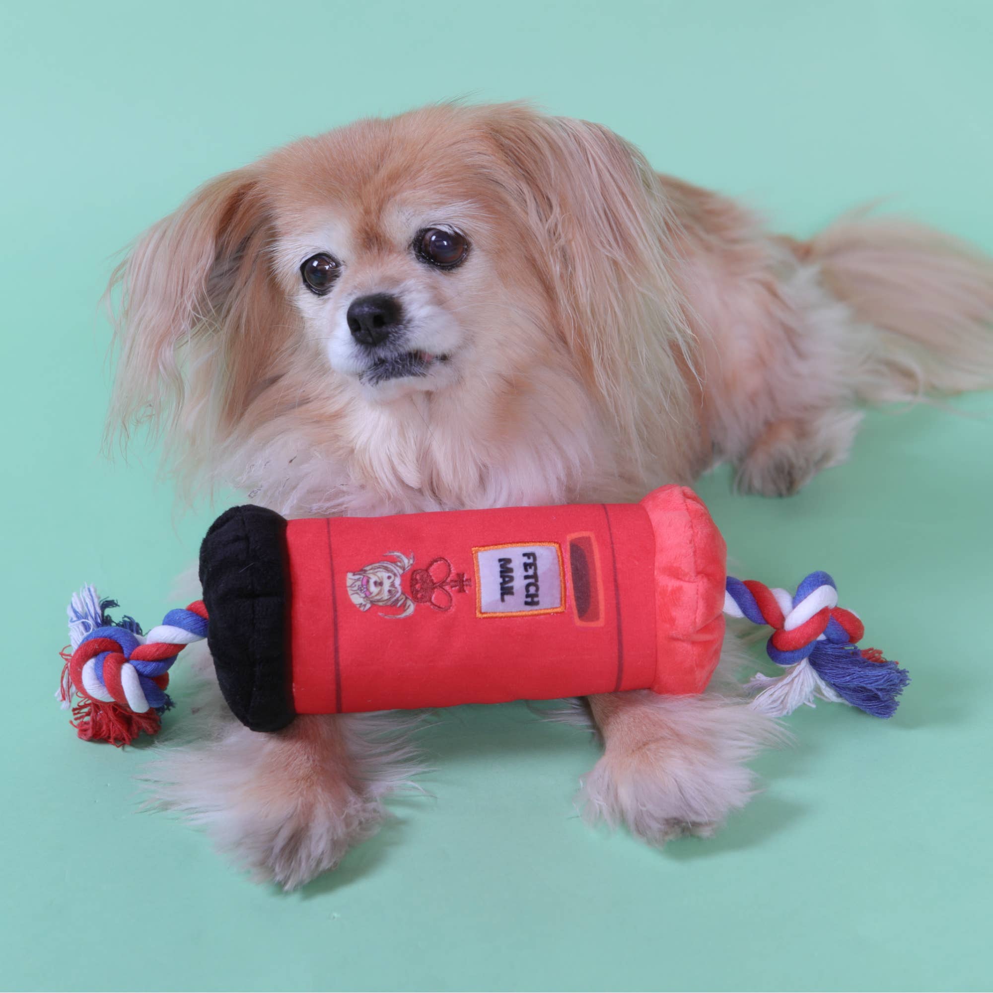 PetLondon – wholesale Pet rope toy – Dog – British Dog Mailbox Tug Toy4