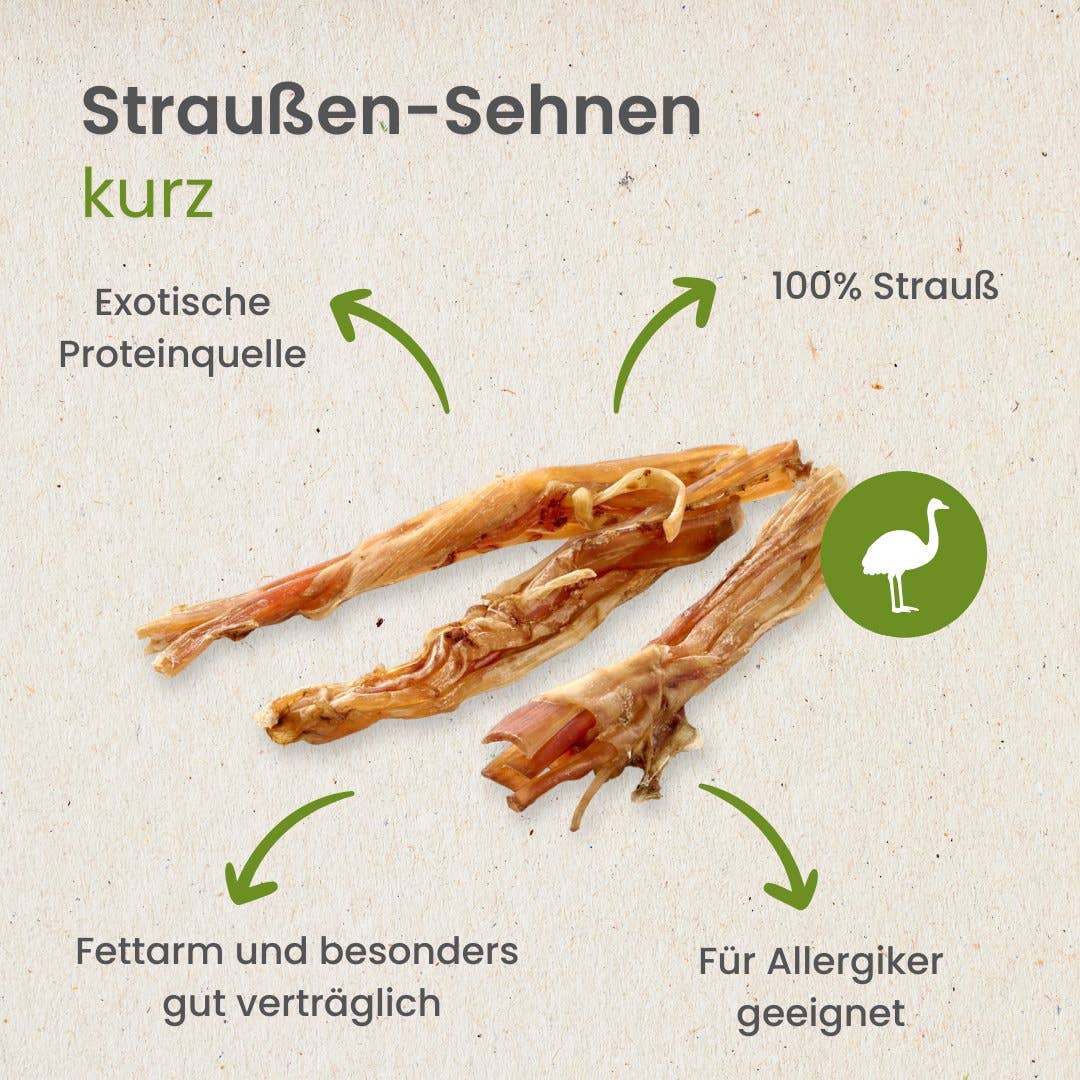 Kauartikel.com GmbH - Wholesale Pet Bone/Rawhide - Dog - ostrich tendons, short3