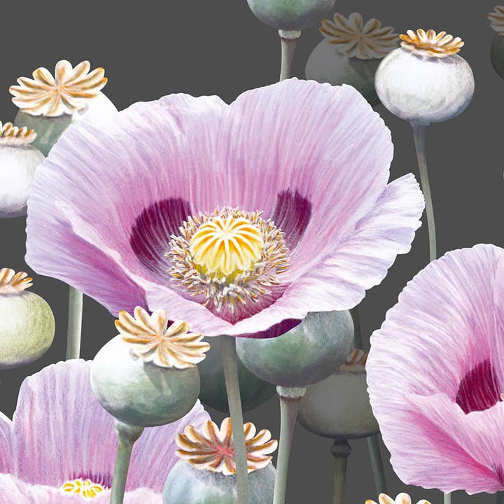 Greeting Card Dusky Poppies for wholesale by Natural Partners Limited