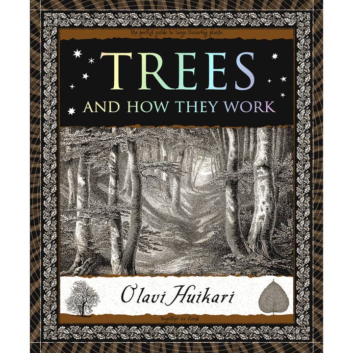 Red Wheel/Weiser LLC - Wholesale Nature & Outdoors - Trees and How They Work