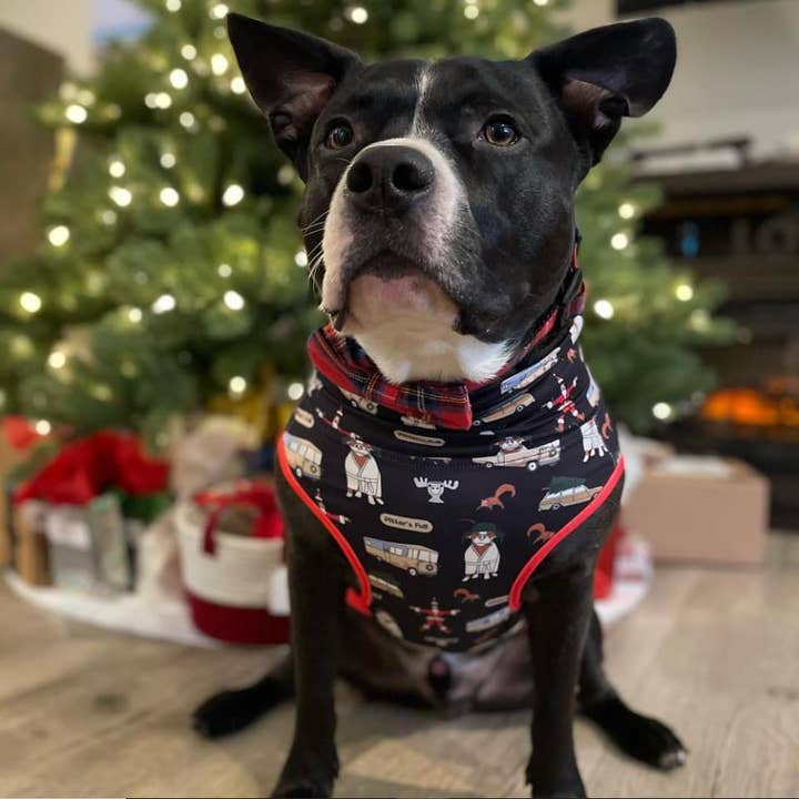 Pittie Clothing Co. - Wholesale Pet Shirt - Dog - *PRE-ORDER* Pitter's Full Muscle Tee4