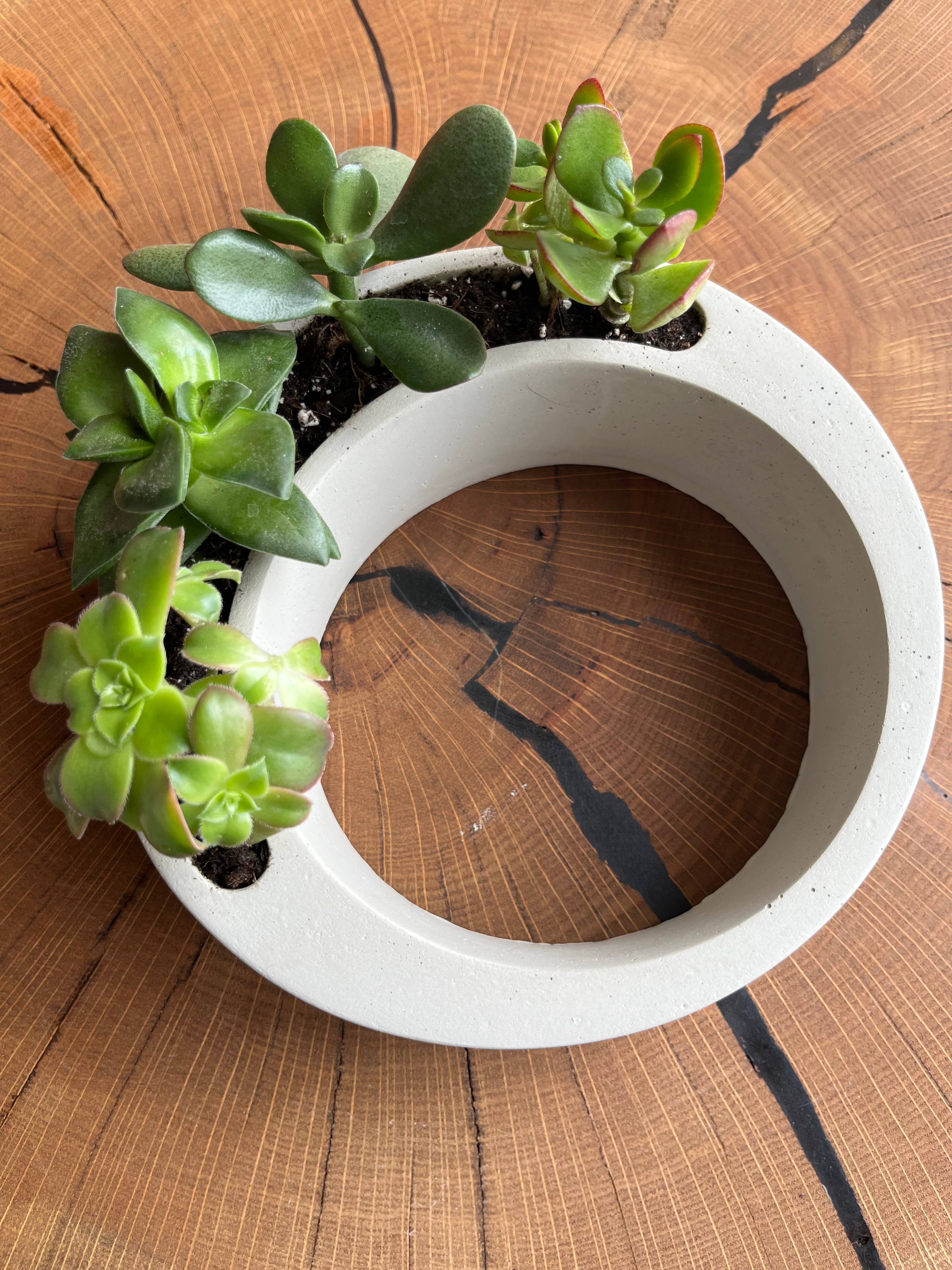 Nora – wholesale Plant pot – Modern Circular Planter6