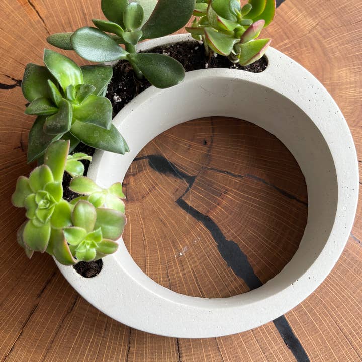 Nora - Vendita all'ingrosso Vasi per piante - Vaso circolare moderno6