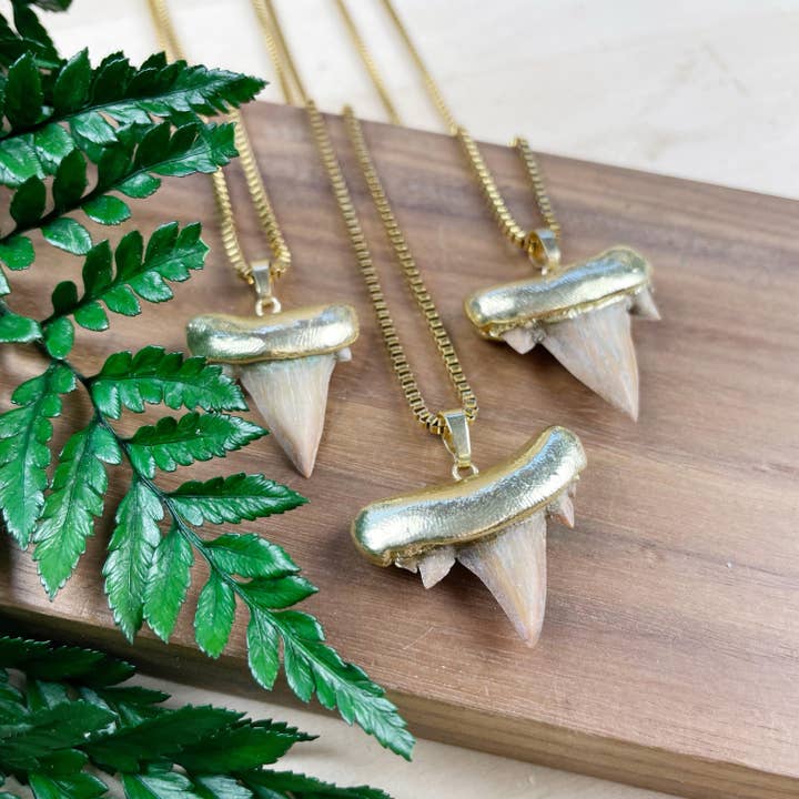 Ewelina Pas Jewelry - Wholesale Pendant/Charm Necklace - Gold Shark Tooth Necklace5