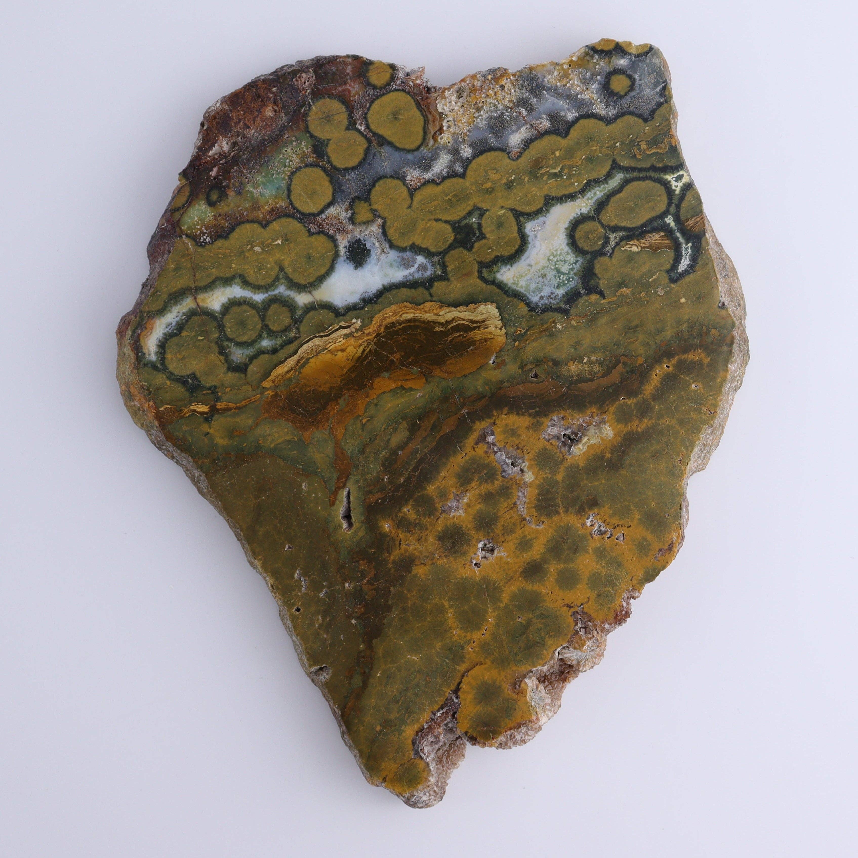 Mi Esperanza Minerals - Wholesale Spiritual Stone/Crystal - Ocean Jasper Slices & Slabs Set of 32